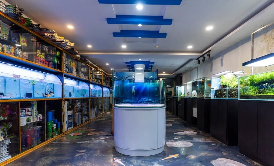 Aquarium Shop Business Consultancy Images 